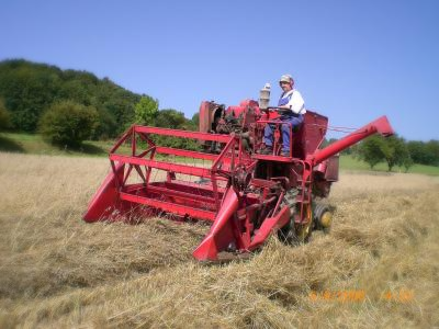 Grain harvest from wild spots