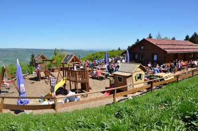 Beer garden and playground surrounded by nature