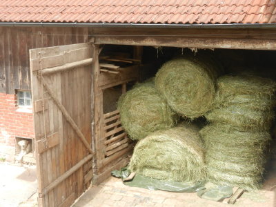 Storage hay bales in the barn